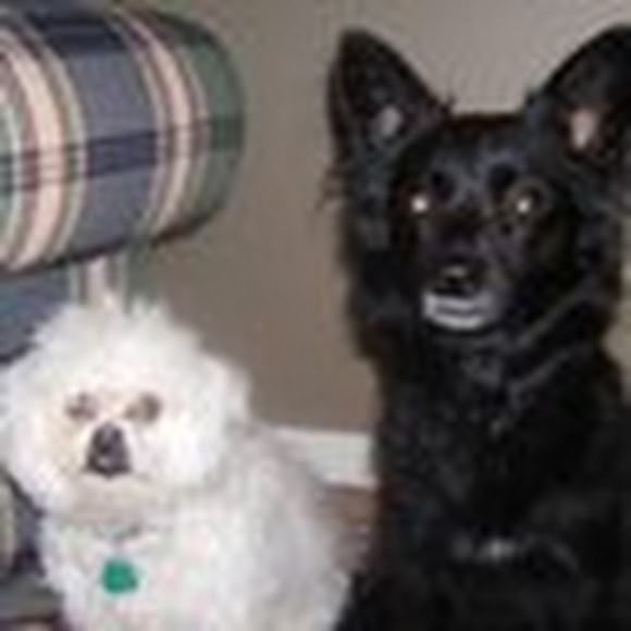 Meet your Posher, Carley - Picture 1 of 1